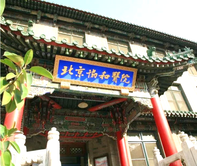 北京协和医院项目